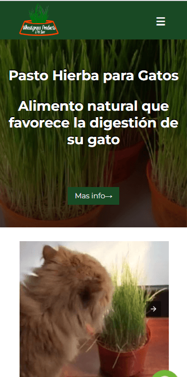 EJEMPLO PAGINAS WEB EXITOSAS